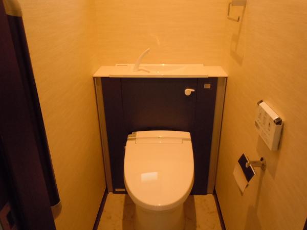 Toilet. Smart toilet with a storage space of the tank is not visible.
