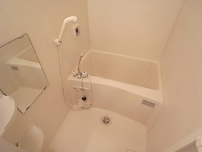 Bath. Bathroom dryer with bus.