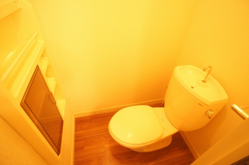 Toilet.  ※ It is a photograph of the other rooms