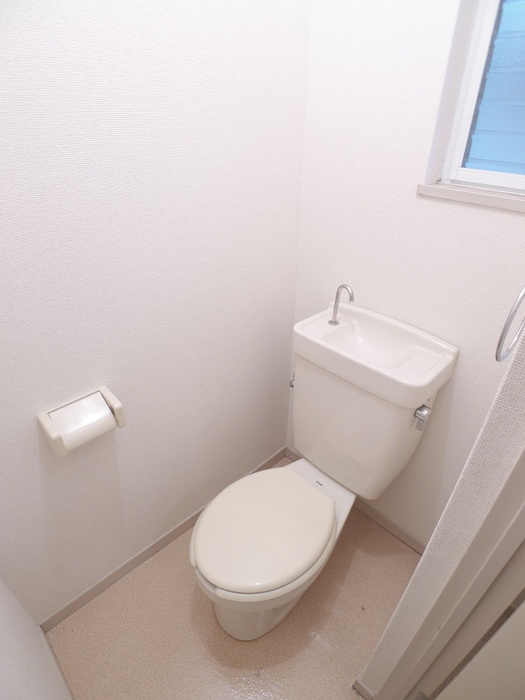 Toilet. Toilet