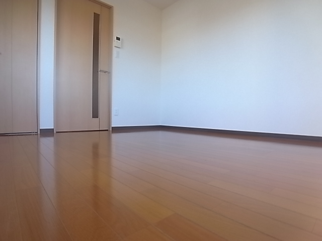 Living and room. bedroom. 