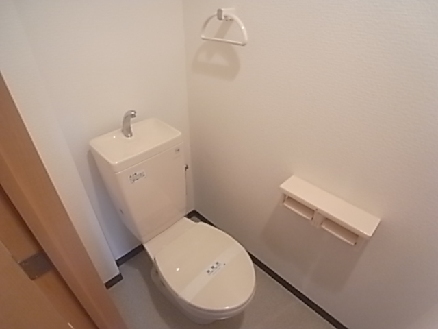 Toilet. Clean toilet. 