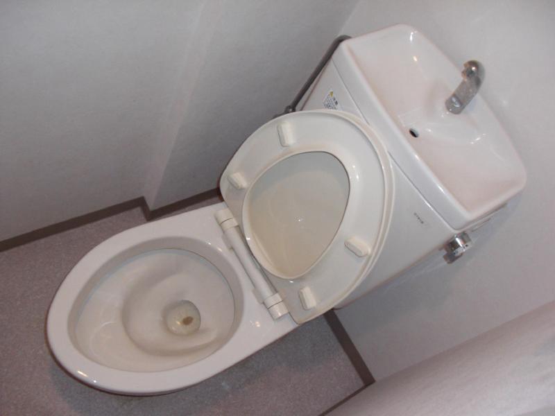 Toilet. Toilets clean! !