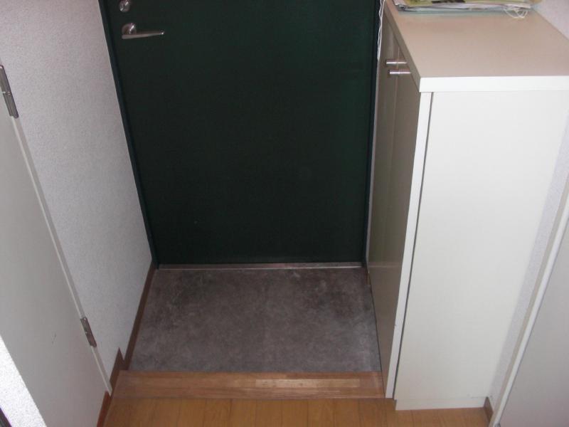 Entrance. There shoebox in the entrance of the room