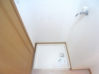 Washroom. There yard indoor washing machine.