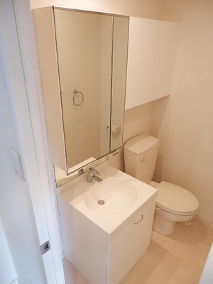 Washroom. Wash basin
