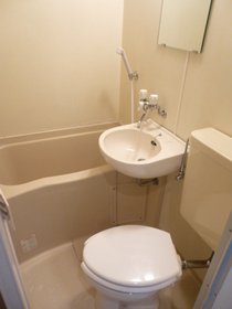 Bath. Cleaning Ease by bus toilet same room.