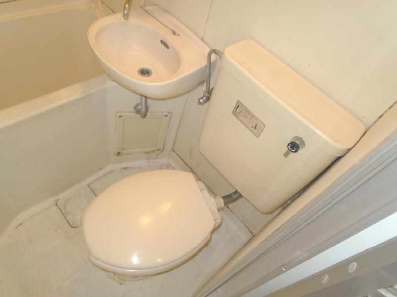 Toilet. Clean toilet