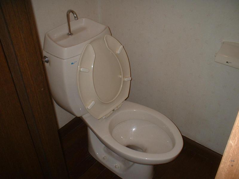 Toilet. Toilet shiny