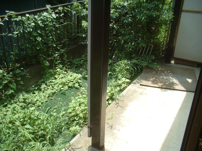 Garden. It comes with a sunny garden