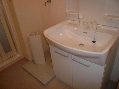 Washroom. Bathroom Vanity