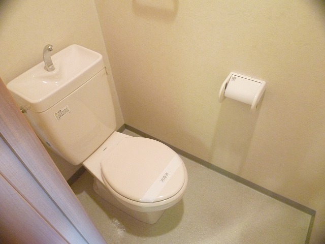 Toilet. Clean toilet. 