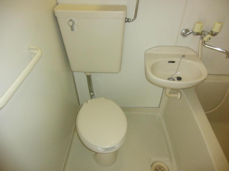 Toilet. Clean toilet