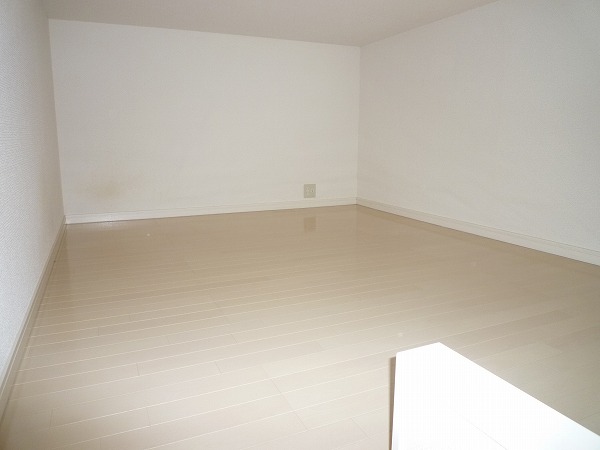 Other room space. Large loft 4.9 Pledge.