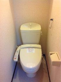 Toilet. Hot-water washing machine