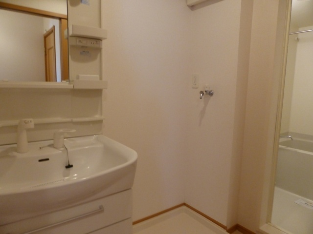 Washroom. Shampoo dresser with