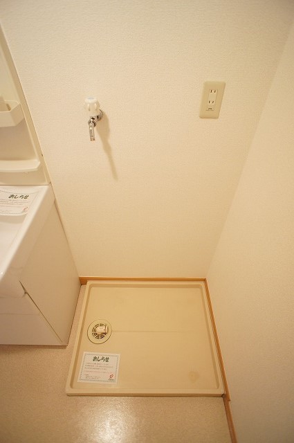 Washroom. Indoor Laundry Storage