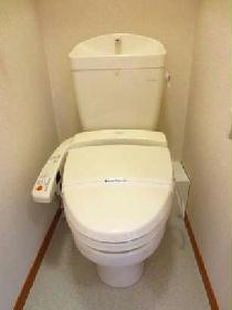 Toilet. Warm water washing toilet seat