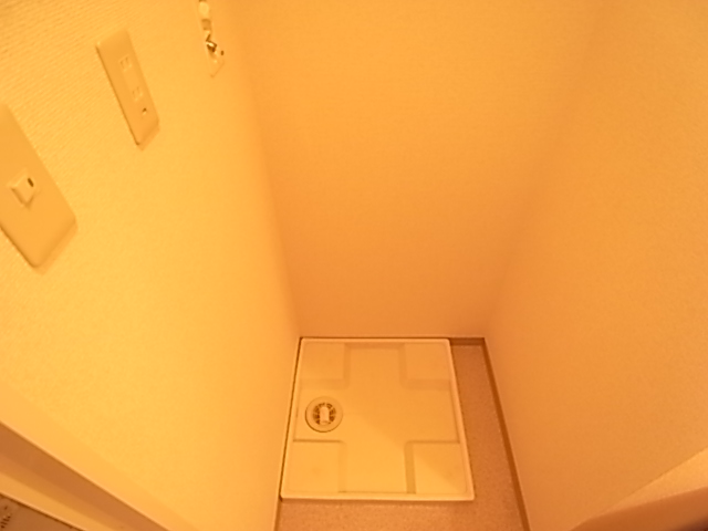Washroom. There is storage room washing machine.