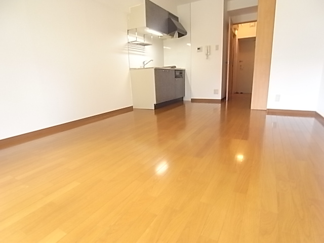 Living and room. Spacious room 11.65 Pledge.