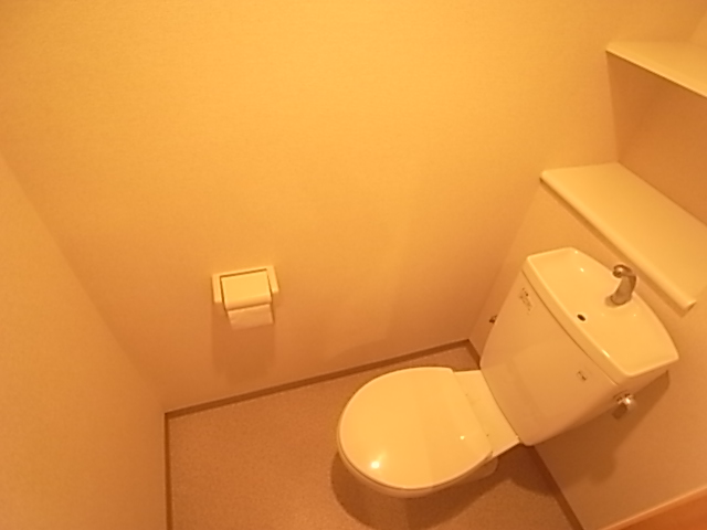 Toilet. Toilet with a shelf.