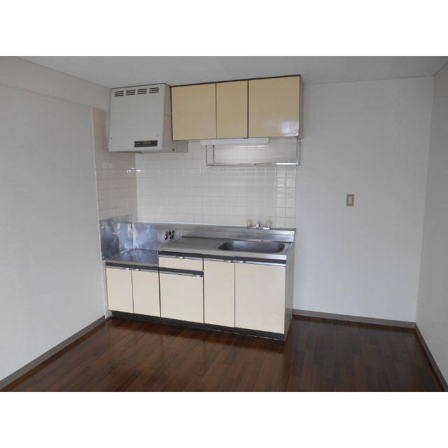 Kitchen. Or a two-necked gas stove installation