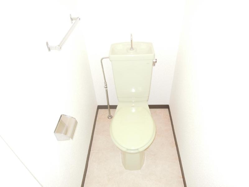 Toilet. Beautiful restroom.