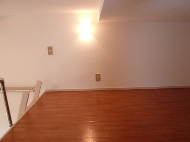 Living and room. loft