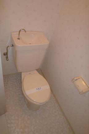 Toilet. Toilet
