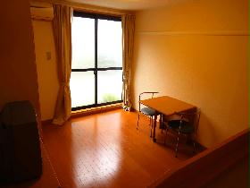 Living and room. Room with a consumer electronics