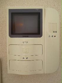 Other. Monitor with intercom