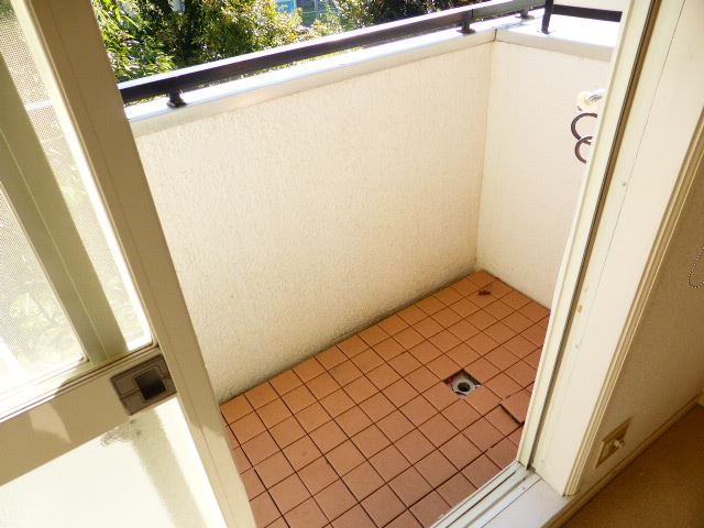 Balcony. Veranda