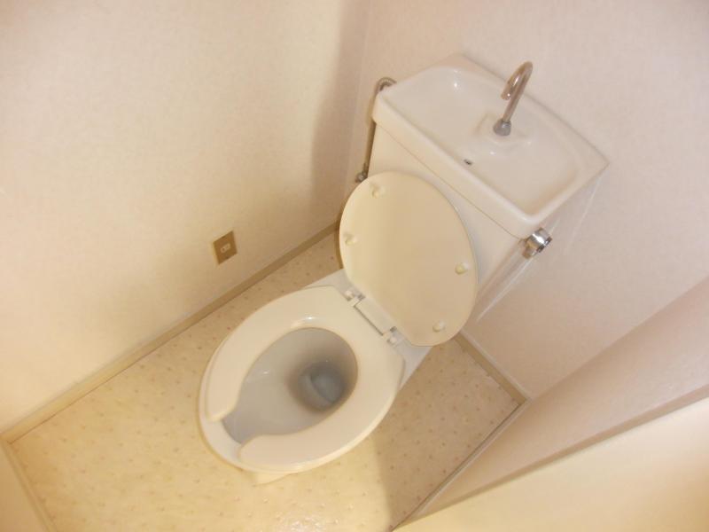 Toilet. Clean toilet!