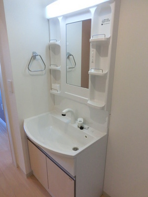 Washroom. Shampoo Dresser