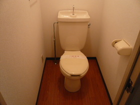 Toilet. Indoor photos use other, Room. It will be in the image.