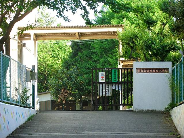 Primary school. Kashiwashiritsu Sakaine Nishi Elementary School 600m to