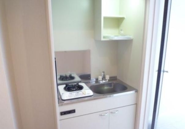 Kitchen. Compact kitchen