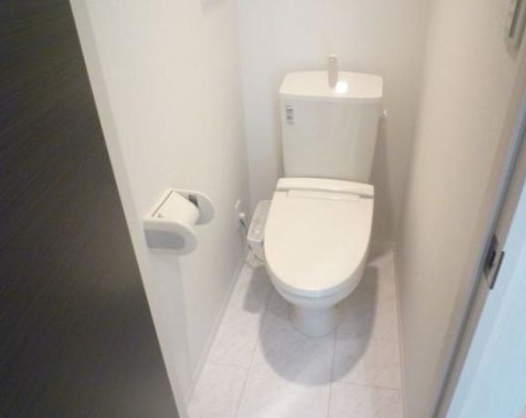 Toilet. Warm water washing toilet seat