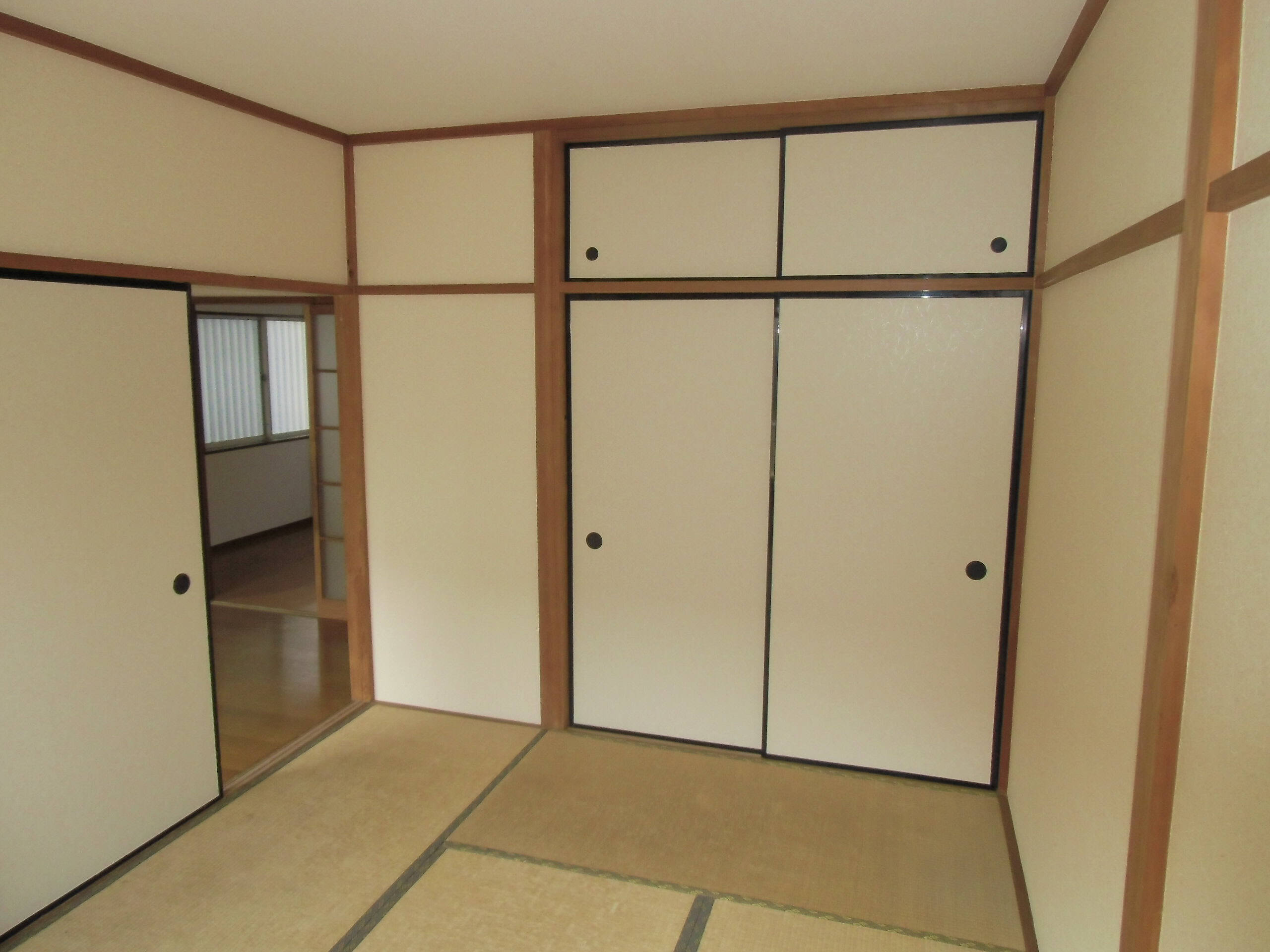 Living and room. Spacious closet