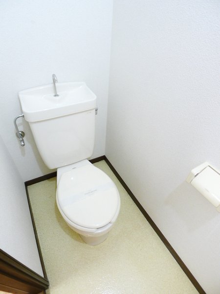 Toilet. Toilet