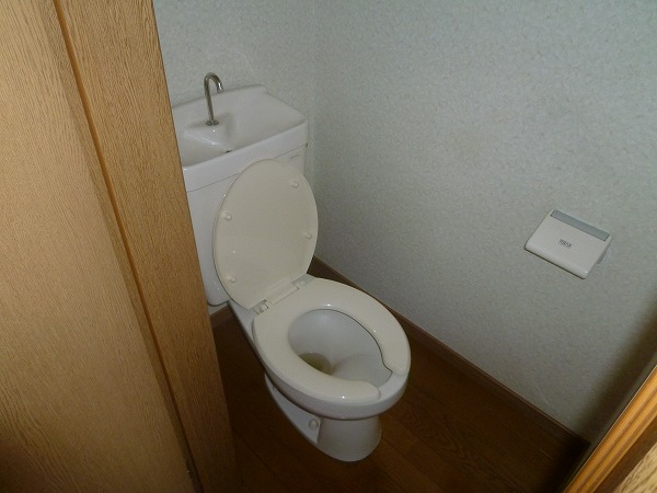 Toilet. Popular bus Restroom.