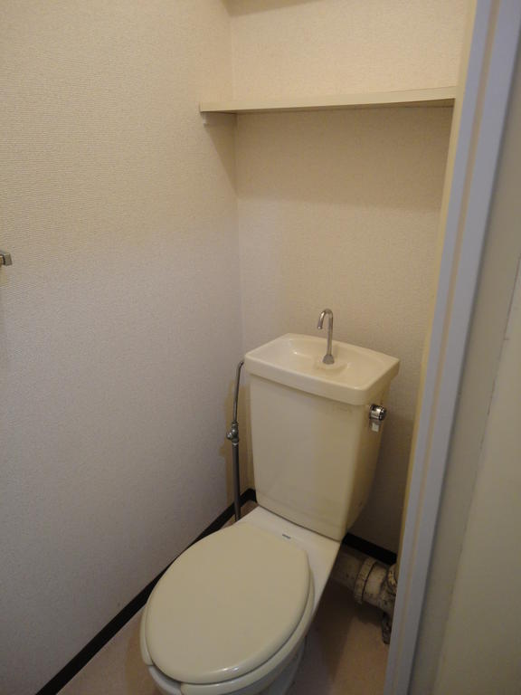 Toilet. Convenient small shelf with toilet