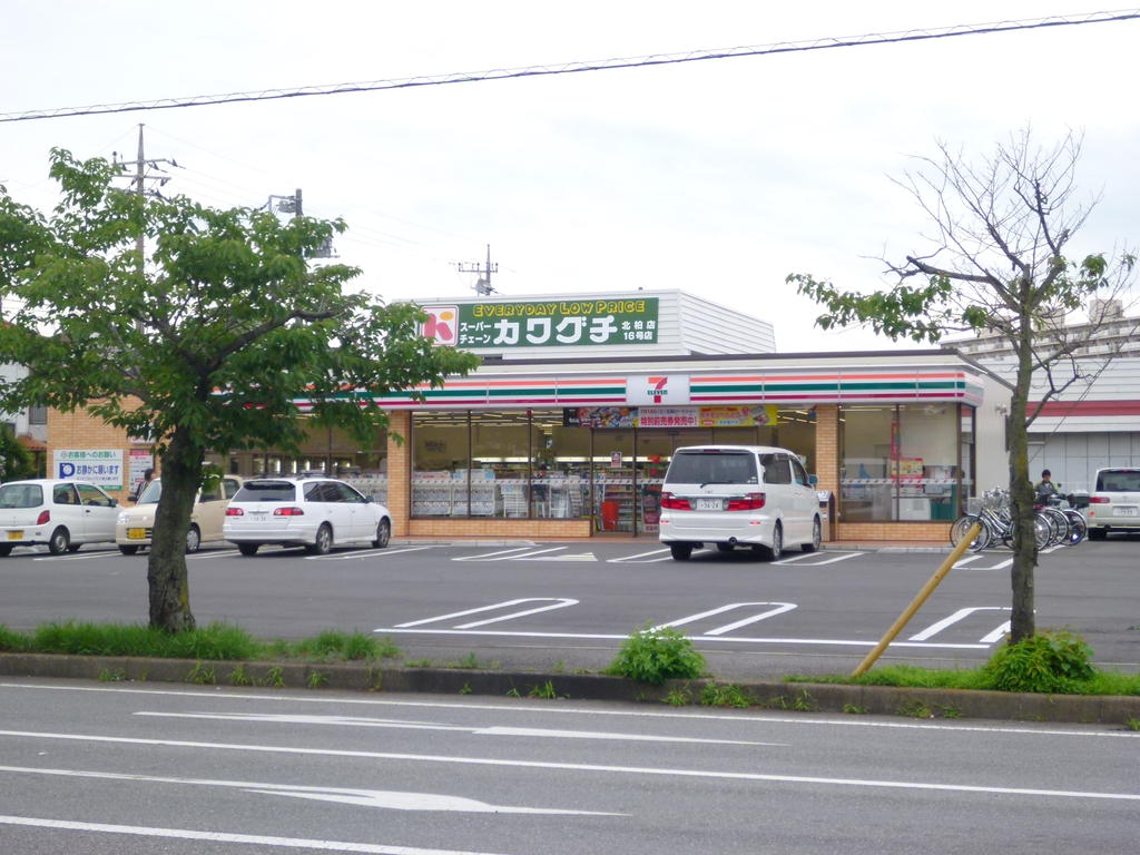 Convenience store. Seven-Eleven 201m to Kashiwa pine needle Machiten (convenience store)