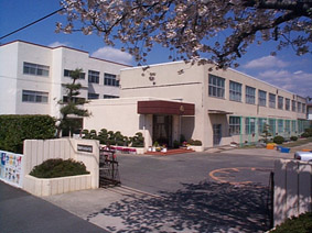 Primary school. Kashiwashiritsu pine needles first elementary school (elementary school) up to 373m