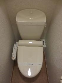 Toilet. Hot-water washing machine