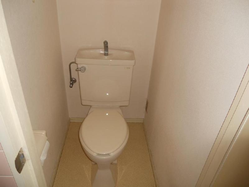 Toilet. Toilet is Western-style washing