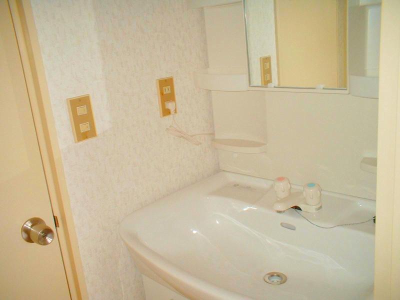 Washroom. Large washbasin!