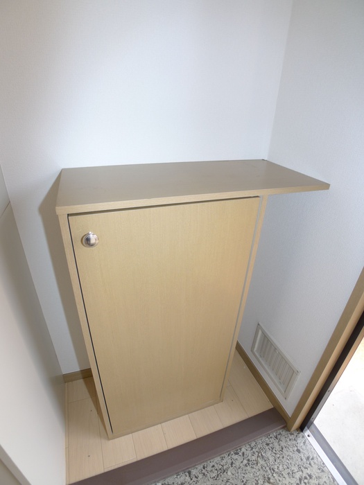 Entrance. Cupboard