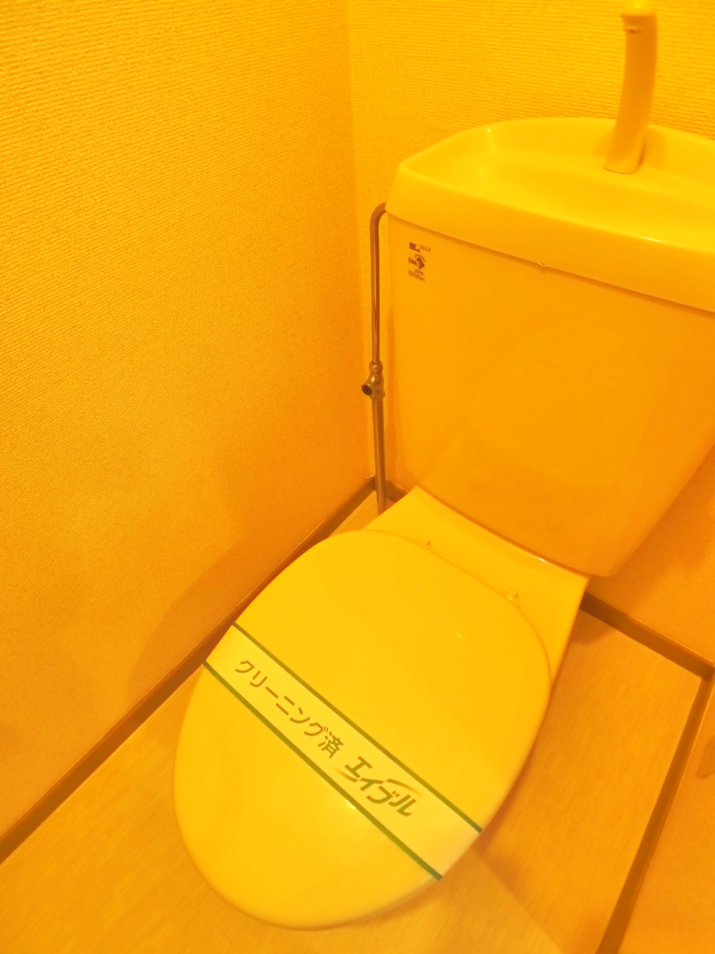 Toilet