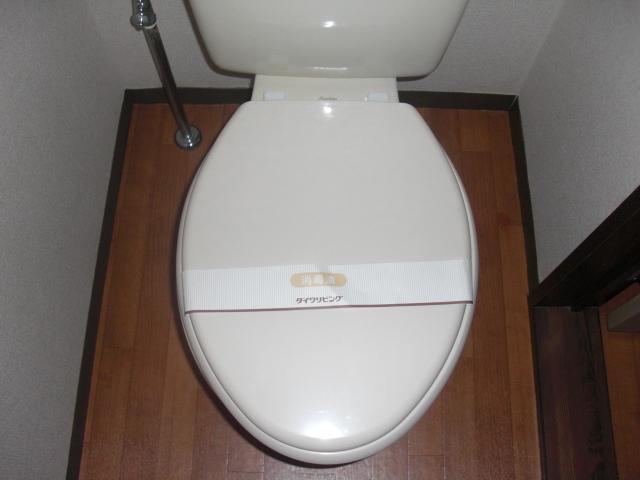 Toilet. Restroom also beautiful